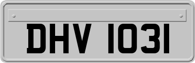DHV1031