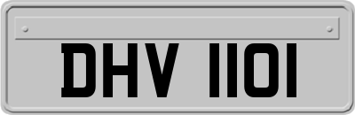 DHV1101