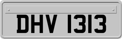 DHV1313