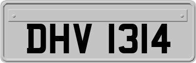 DHV1314