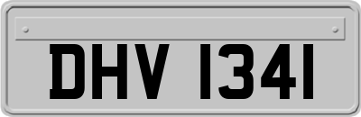 DHV1341