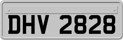 DHV2828