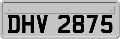 DHV2875
