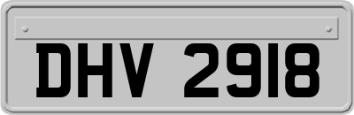 DHV2918