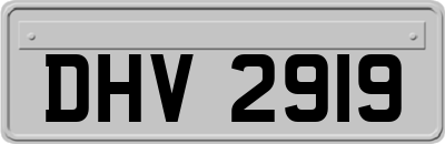 DHV2919