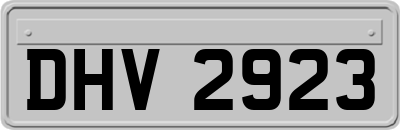 DHV2923