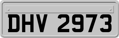 DHV2973