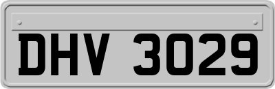 DHV3029