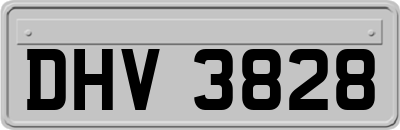 DHV3828