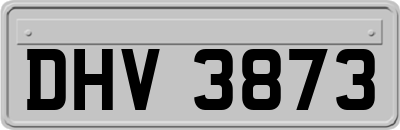 DHV3873