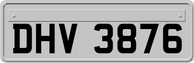 DHV3876