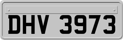 DHV3973