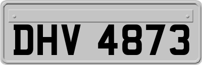 DHV4873