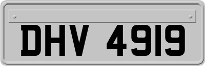 DHV4919