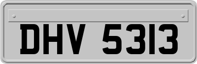 DHV5313