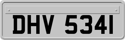 DHV5341