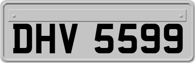 DHV5599