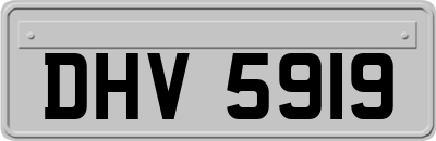 DHV5919