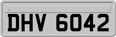DHV6042