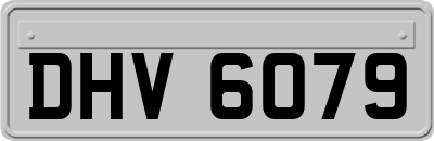 DHV6079