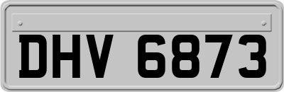 DHV6873