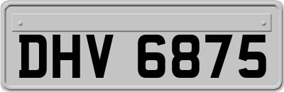 DHV6875