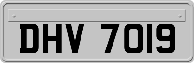 DHV7019