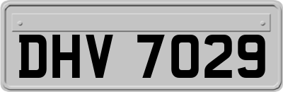 DHV7029