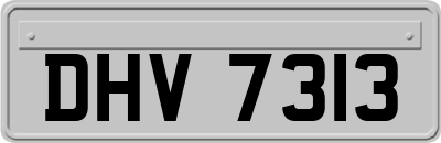 DHV7313