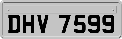 DHV7599