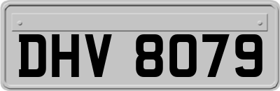 DHV8079