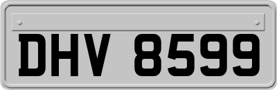 DHV8599
