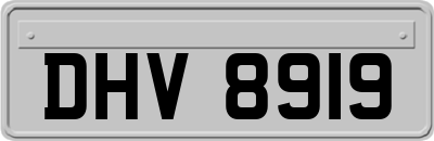 DHV8919