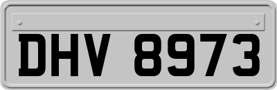 DHV8973