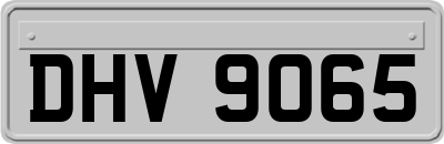 DHV9065