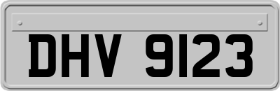 DHV9123