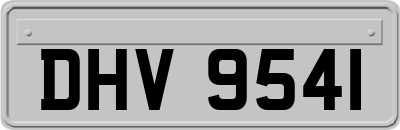 DHV9541
