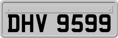 DHV9599