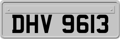 DHV9613