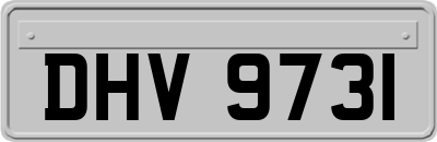 DHV9731