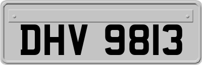 DHV9813
