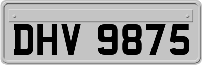 DHV9875