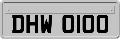DHW0100