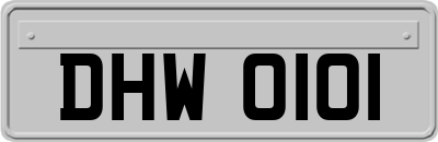 DHW0101