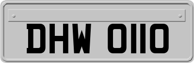 DHW0110