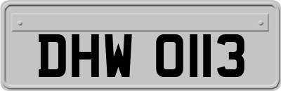 DHW0113