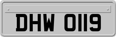 DHW0119