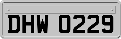 DHW0229