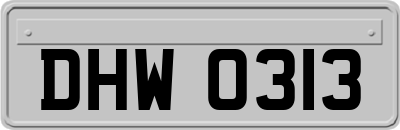 DHW0313