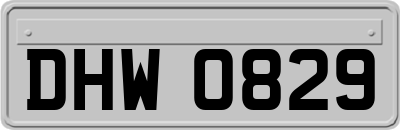 DHW0829